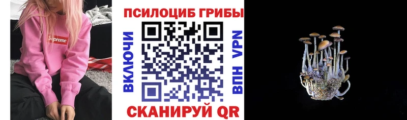 Галлюциногенные грибы прущие грибы  kraken онион  Балей 